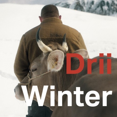 poster-drii-winter.jpg